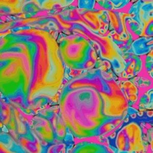 Meet your Posher, Bella